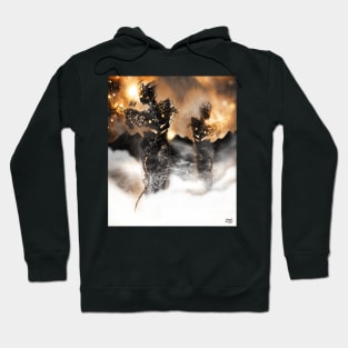 Mechanised Desert wanderers [Digital Figure Illustration] Version 2 Hoodie